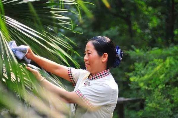 物业保洁服务的内容、礼仪、作业标准